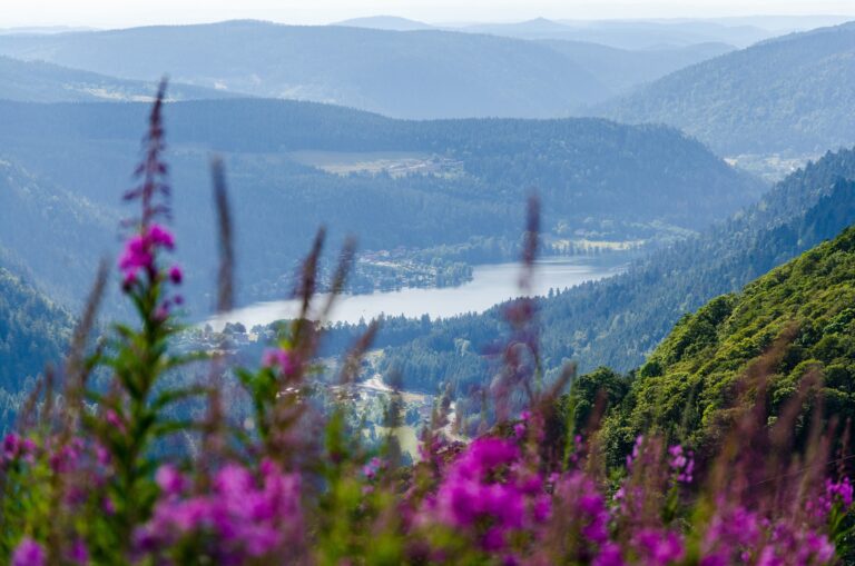 Wandern im Elsass