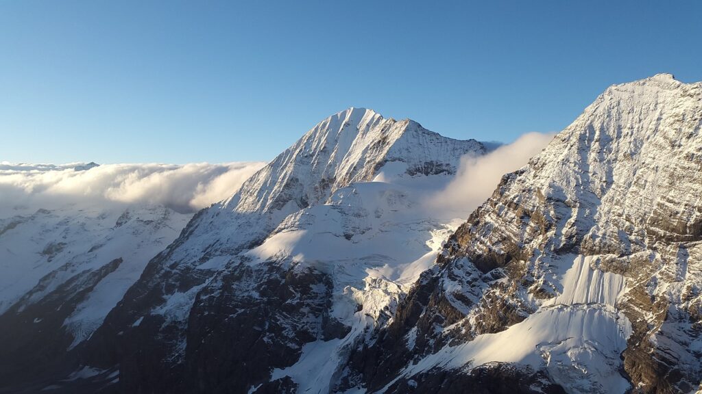 Bild der Königsspitze