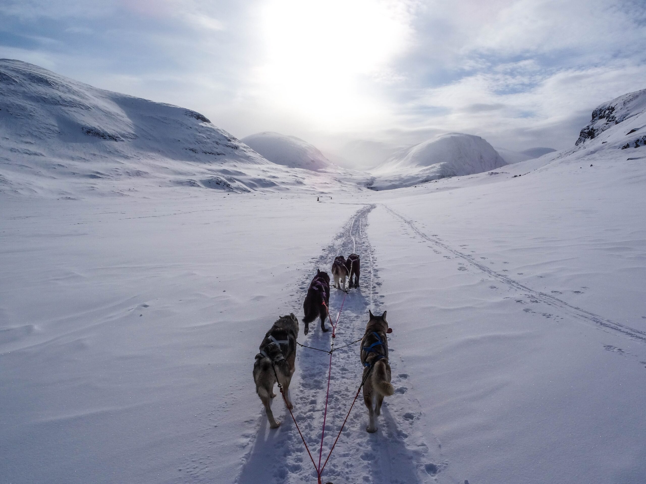 Entdecken Sie auch die Winter-Hüttentour auf dem Kungsleden, eine spektakuläre Reise von Saltoluokta nach Kvikkjokk