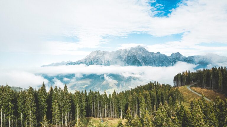 Wander Aussicht im Salzburger Land